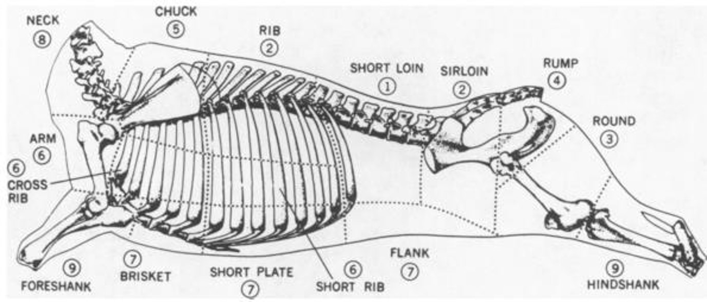 <p><span>Major cuts of beef ranked according to late 19th century retail values</span></p>