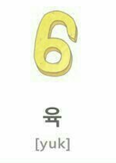 <p><strong>육 (yook)</strong></p>