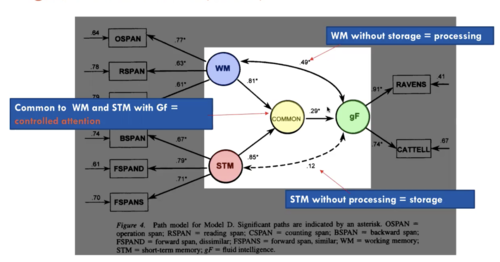 what is common?

How is this different?
postulating a common factor and see how this relates to WM, STM, gF