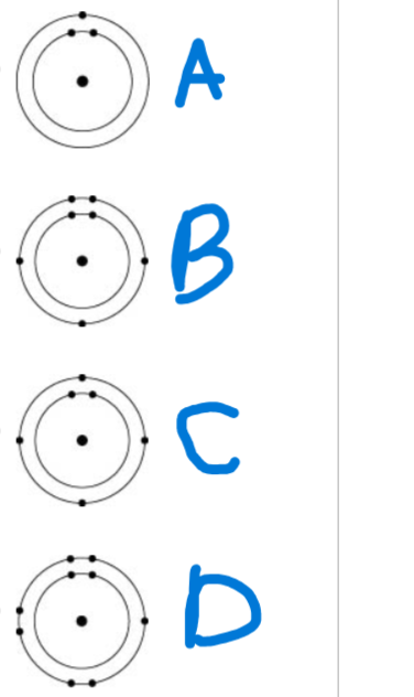 <p><span>Which one of the atoms shown would be most likely to form a cation with a charge of +1?</span></p><ol><li><p>A</p></li><li><p>B</p></li><li><p>C</p></li><li><p>D</p></li></ol><p></p>
