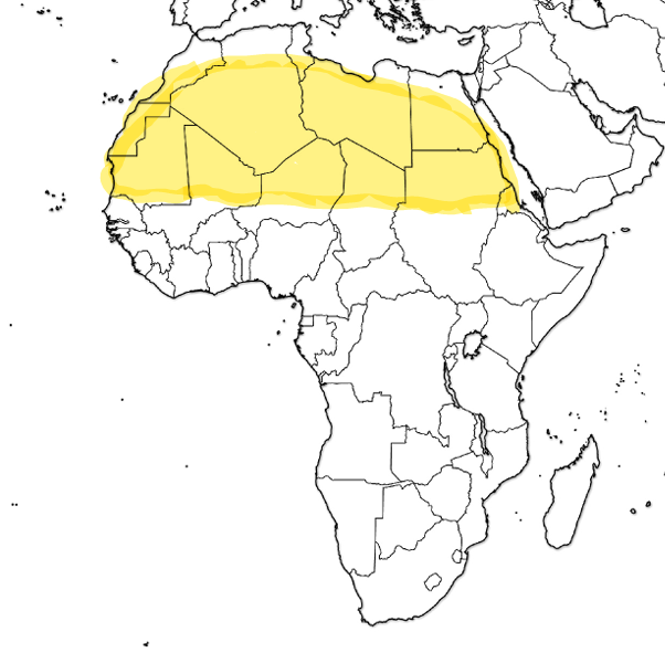 <p>What desert is this?</p>