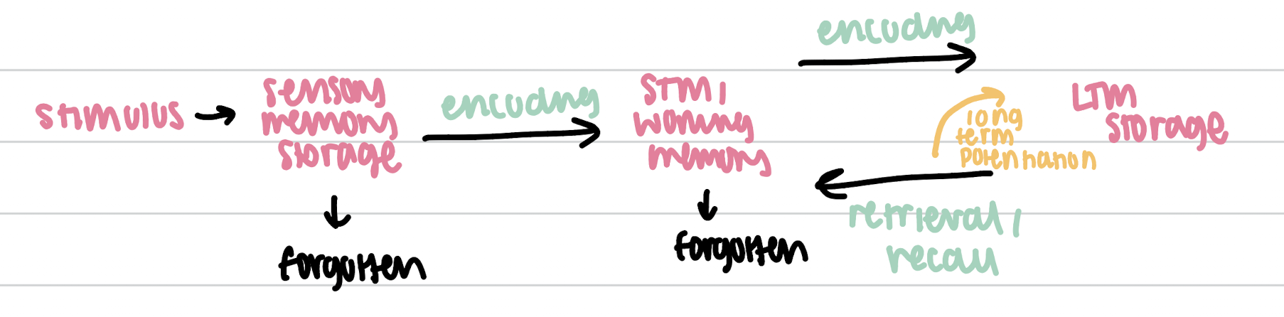 knowt flashcard image