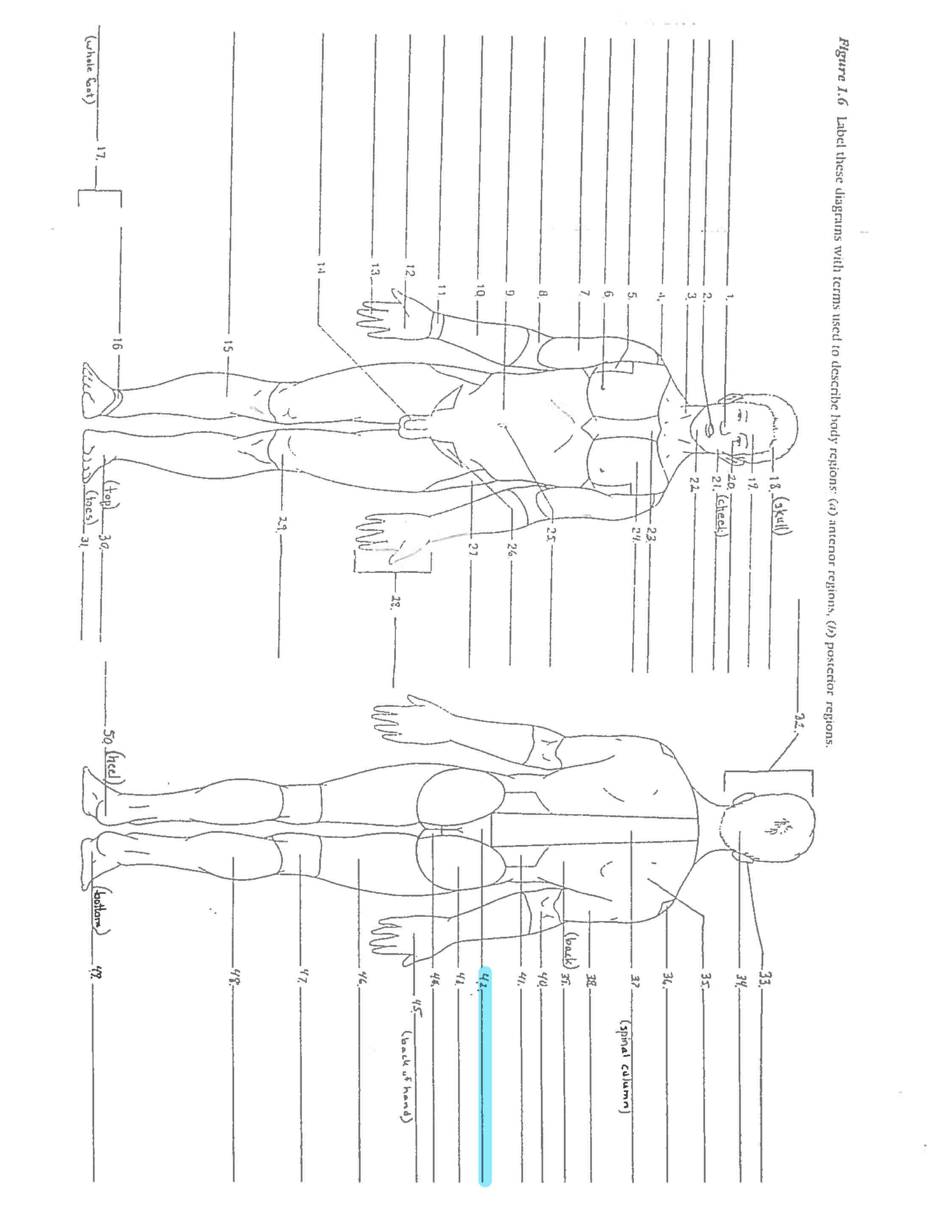 <p>Line 42 </p>