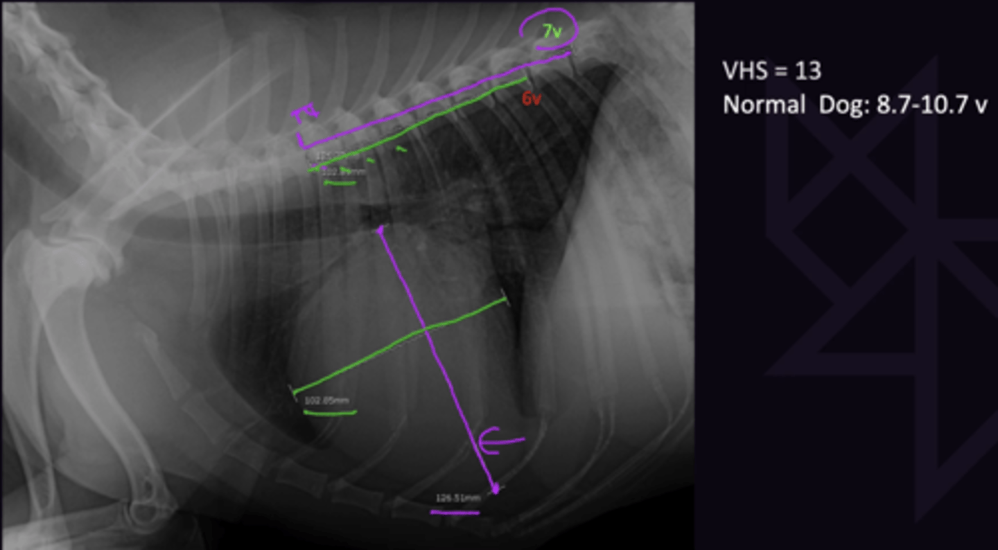 <p>1. Objective way of assessing heart. Does not replace subjective assessment</p><p>2. 8.7 - 10.7 v</p><p>3. Not Reliable. 6.9 - 8.1 v</p>