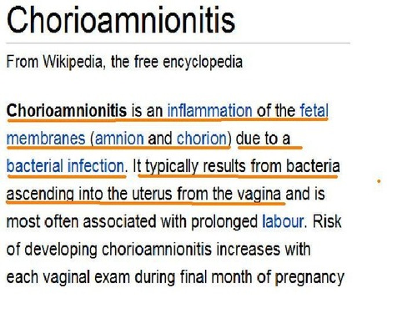 <p>fetal covering</p>