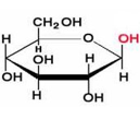 <p><span>OH group at C-1 is on the same side of the ring as the CH<sub>2</sub>OH group</span></p><p></p>