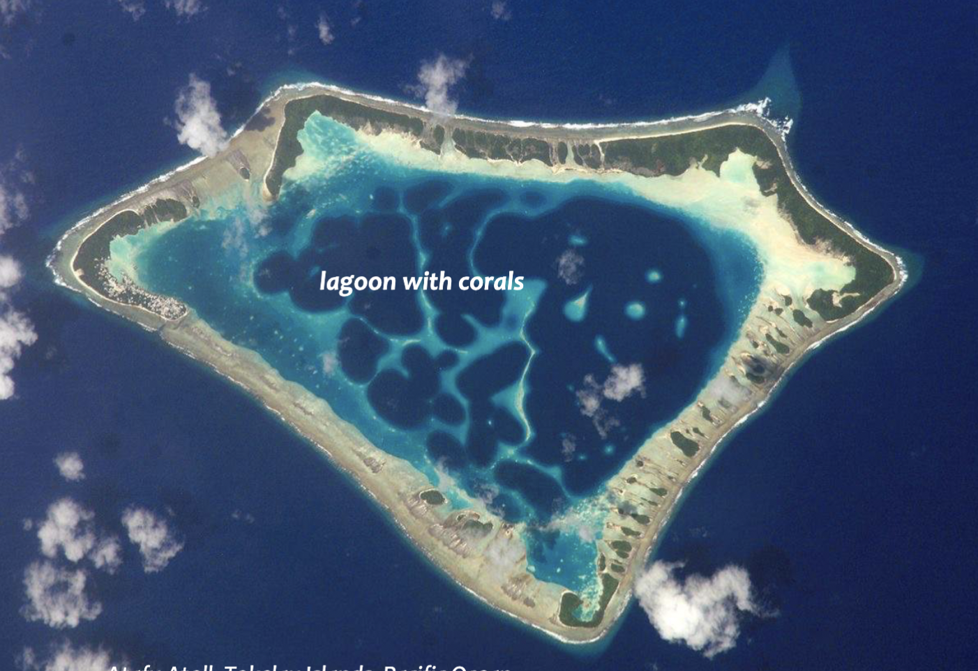 <p>A ring-shaped island of coral reefs and coral debris that encloses or partially encloses a shallow lagoon</p><ul><li><p>Potential to be highly affected by sea level rise</p></li></ul>