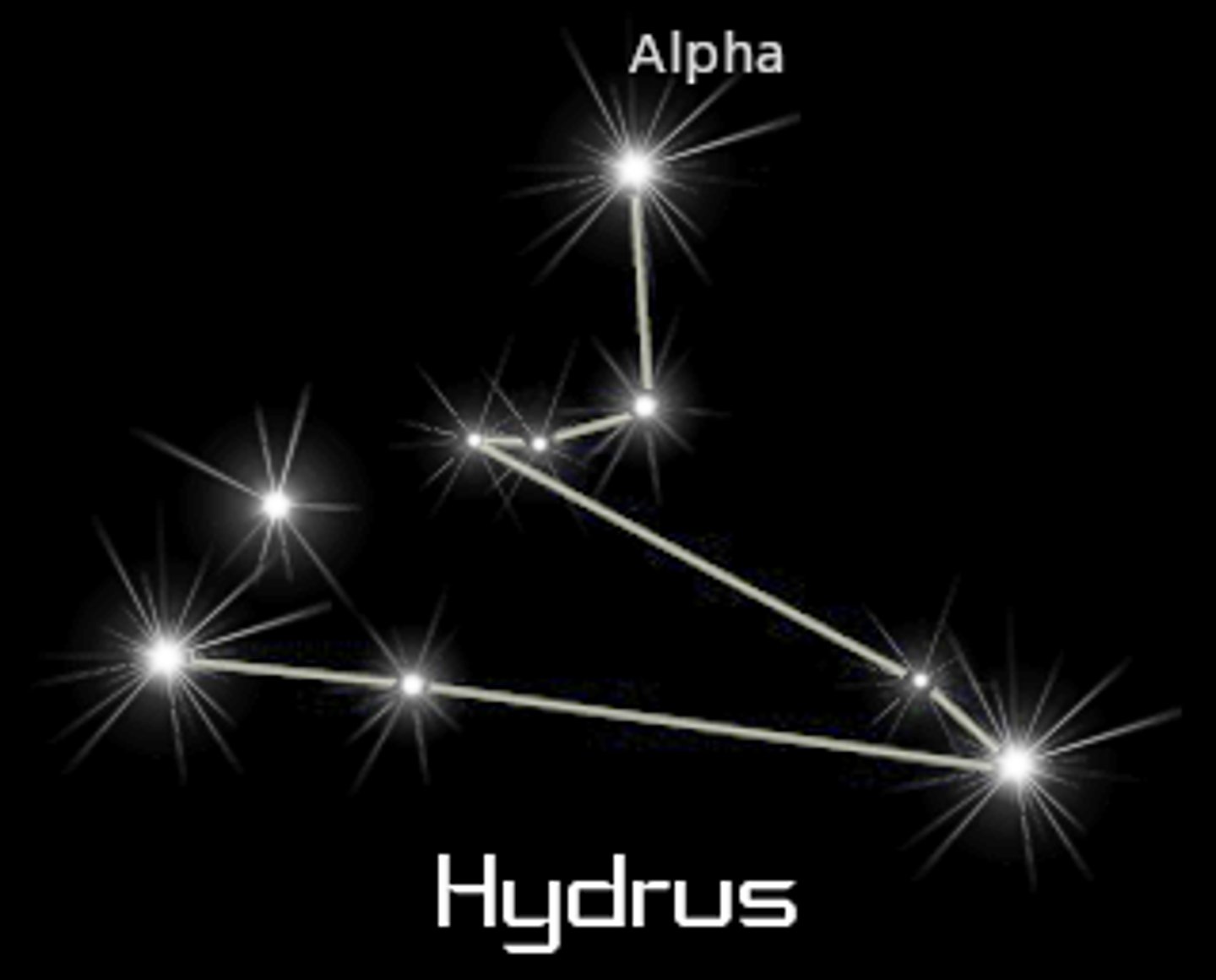 <p>water snake / brightest star: Beta Hydri (β Hyi)</p>