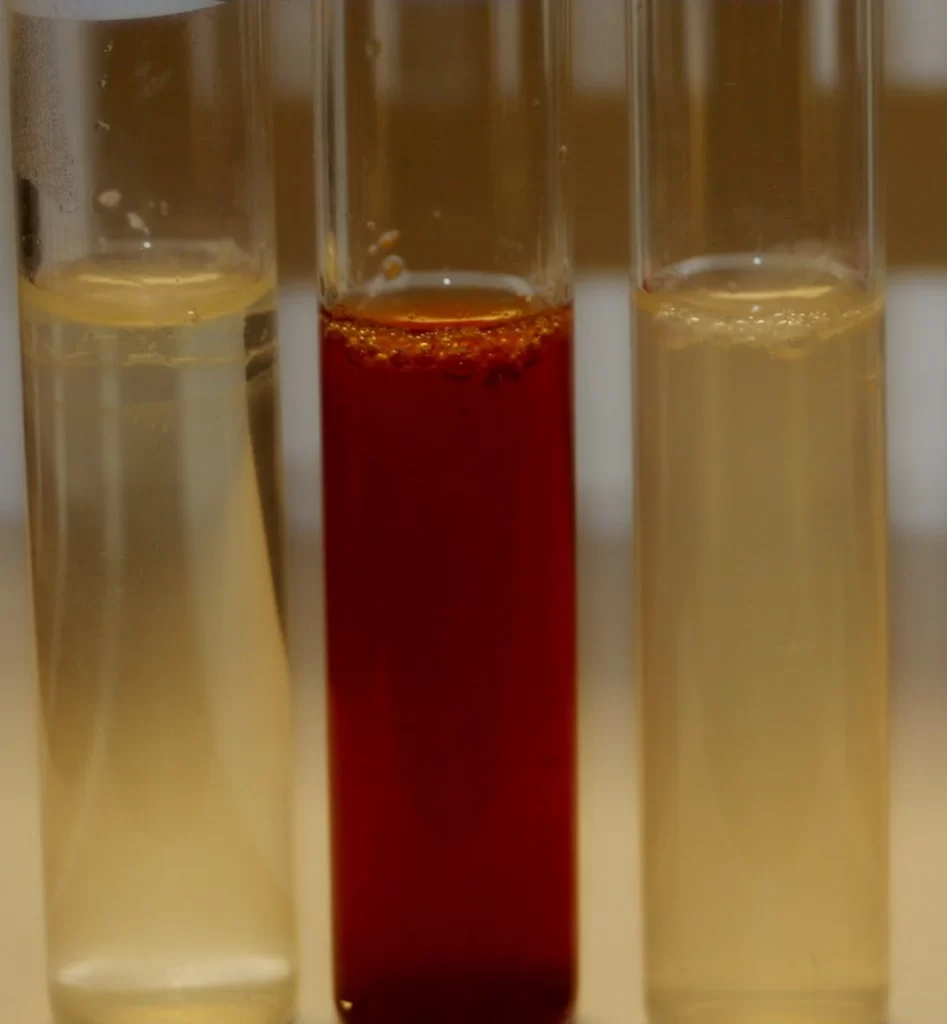 <p>What <strong>reagent/s </strong>is/are used in this set-up?</p>