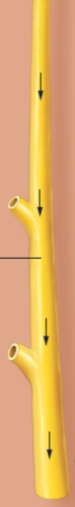 <p>what is this?</p>