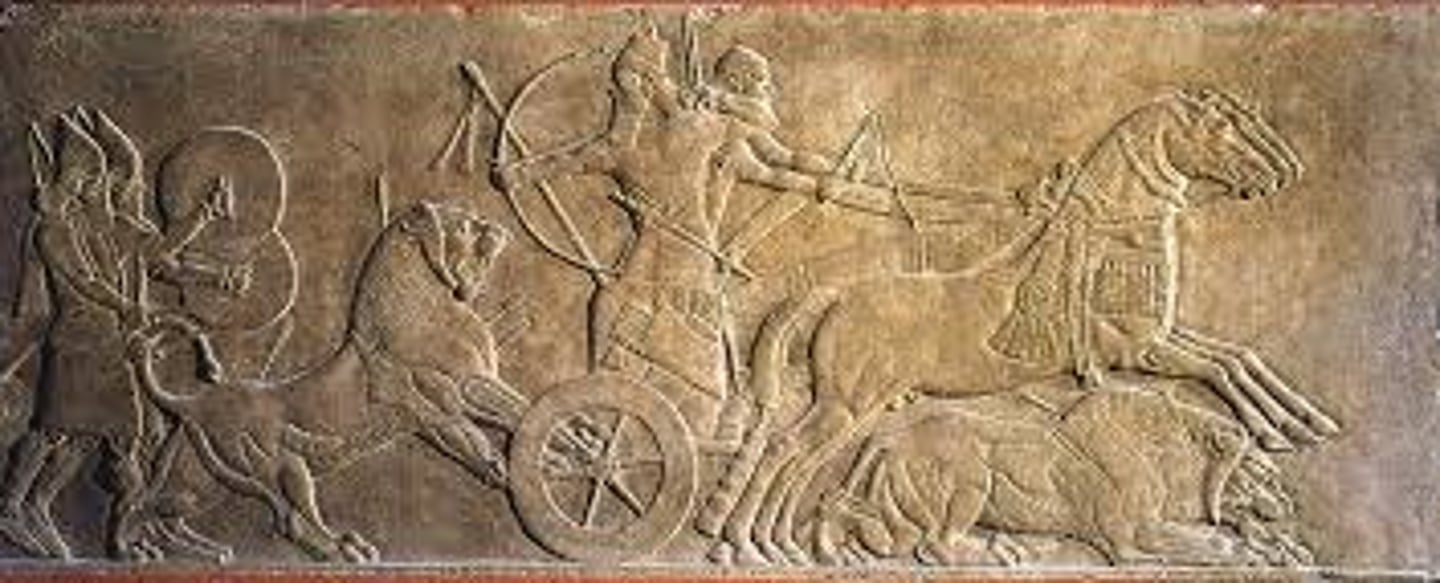 <p>They are reliefs that are slightly protruding from their background.</p>