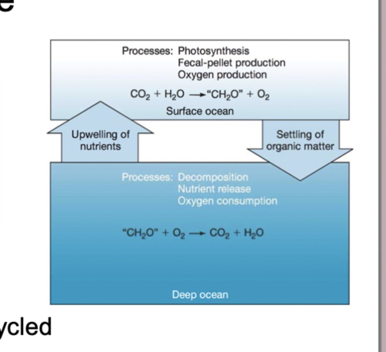 <p>process by which the surface ocean pulls CO₂ out of the atmosphere through photosynthesis and then moves some of that carbon into the deep ocean, where it can be stored for long periods of time. process by which the surface ocean pulls CO₂ out of the atmosphere through photosynthesis and then moves some of that carbon into the deep ocean, where it can be stored for long periods of time.</p>