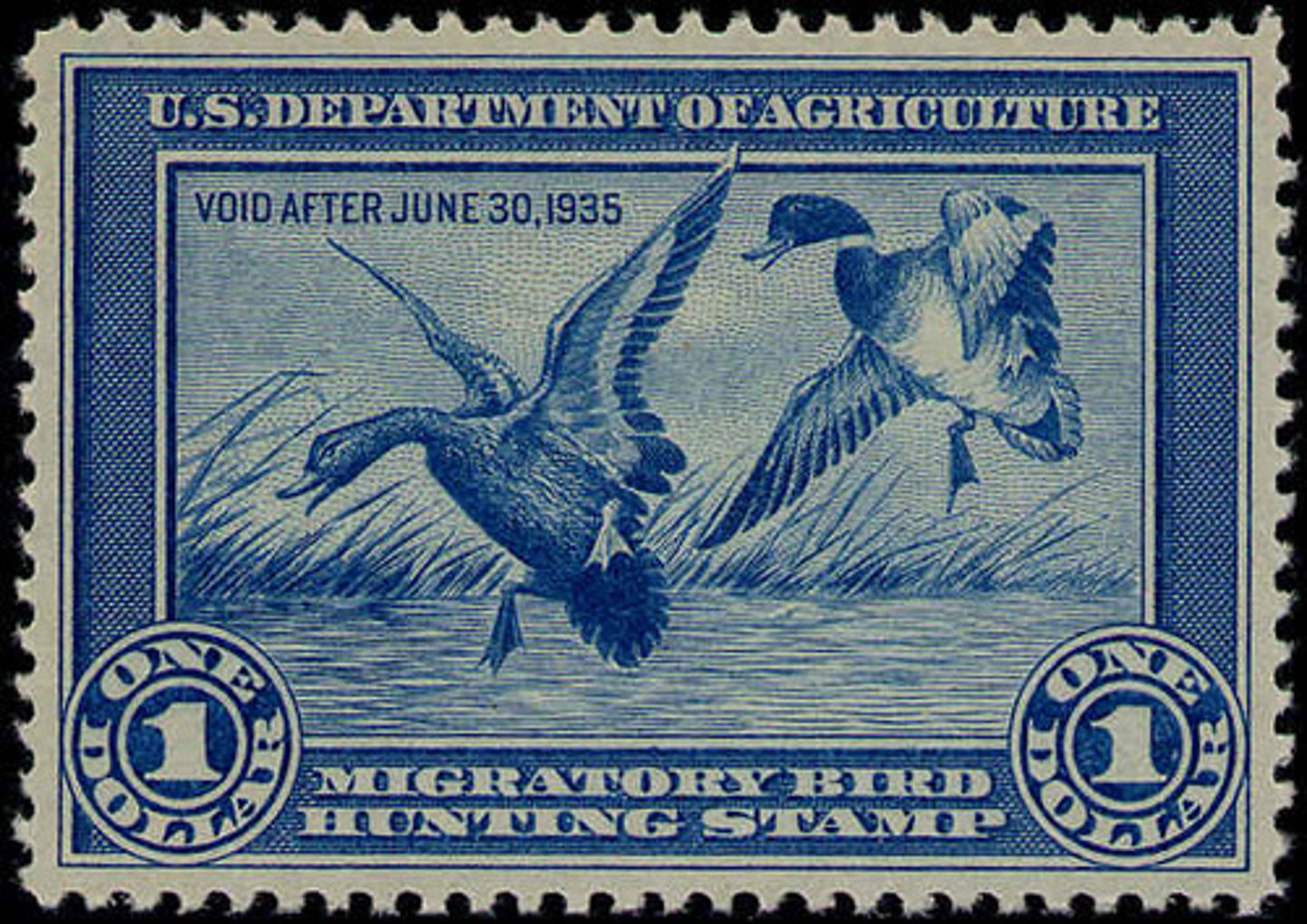 <p>A stamp purchased by duck hunters, the proceeds from which are used to expand waterfowl populations. 98% of funds go to National Wildlife Refuge System for wetland purchases or easements</p>