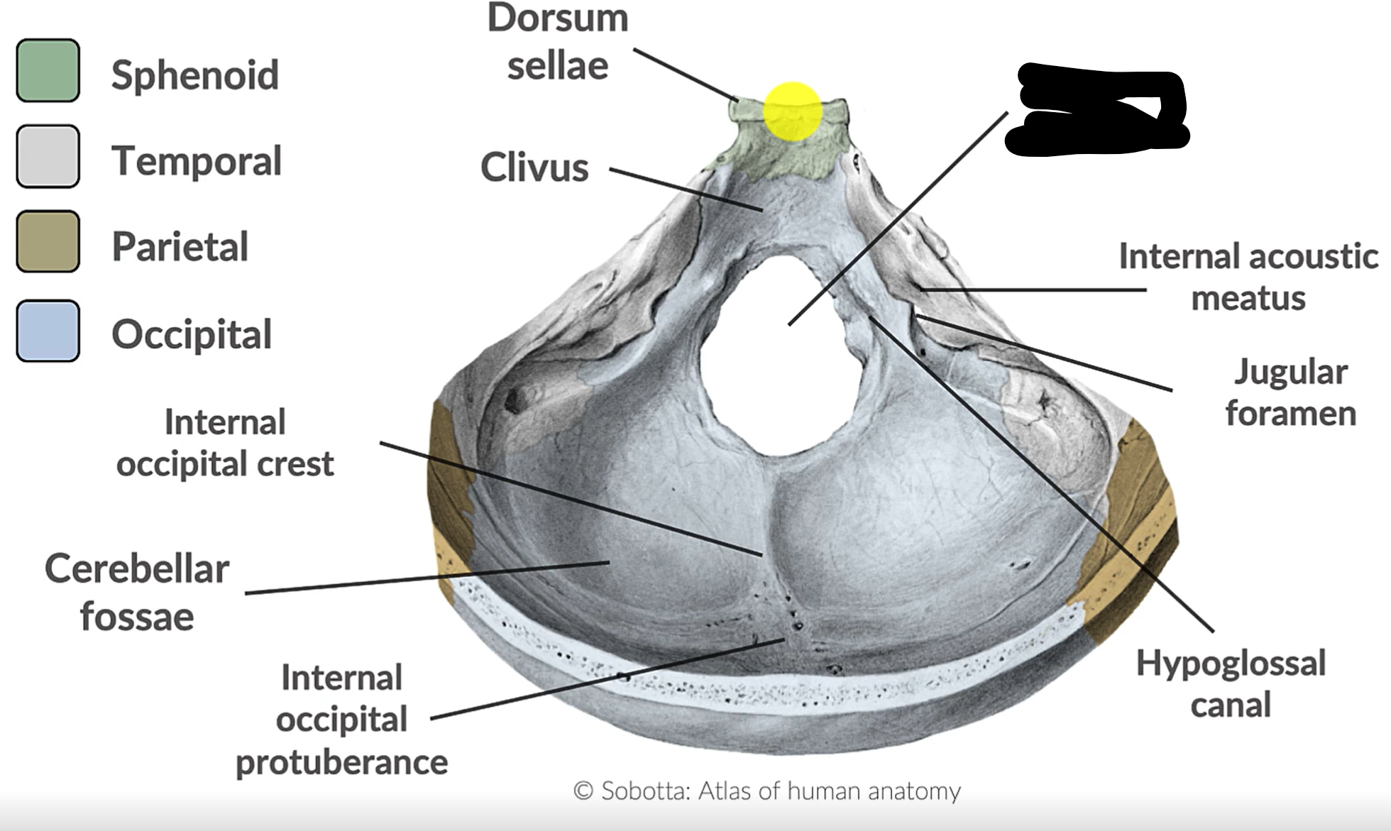 term image