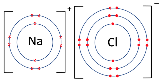 <p>Ionic bonds</p>