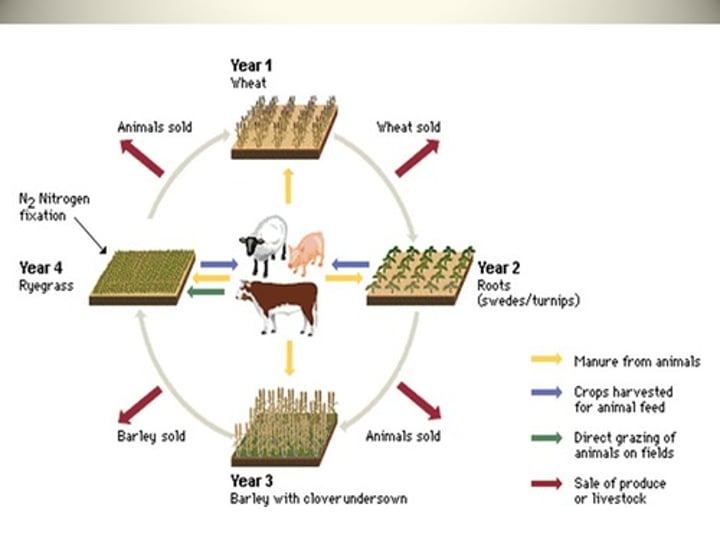 <p>The practice of rotating use of different fields from crop to crop each year, to avoid exhausting the soil.</p>