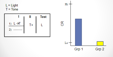 <p>-opposite of second-order conditioning</p><p>-light and tone are associated first, then tone is paired with reward, organisms reacts to light<span><br>While dating your girlfriend, she tells you that she loves the new hit by Harry Styles. Whenever you are in the car with her, she is playing that song on the radio. After three months, she dumps you for someone else. Now whenever you hear that song, you feel upset and sad.</span></p>