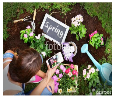 <p>BE TAKING A PHOTO</p>
