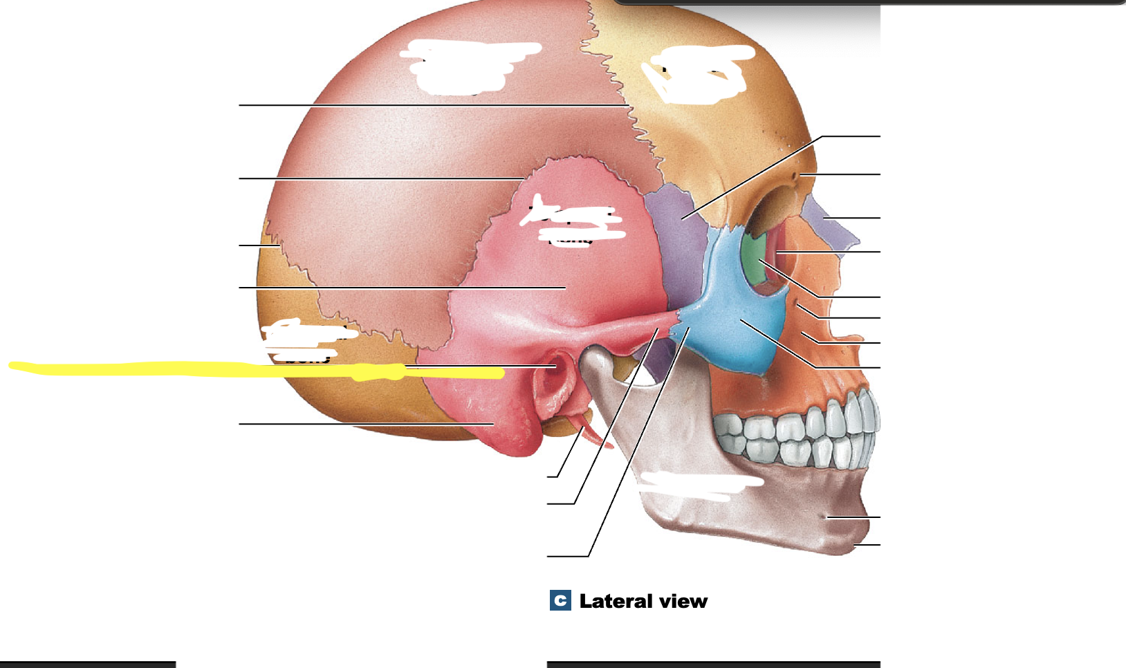 <p>What is the structure?</p>