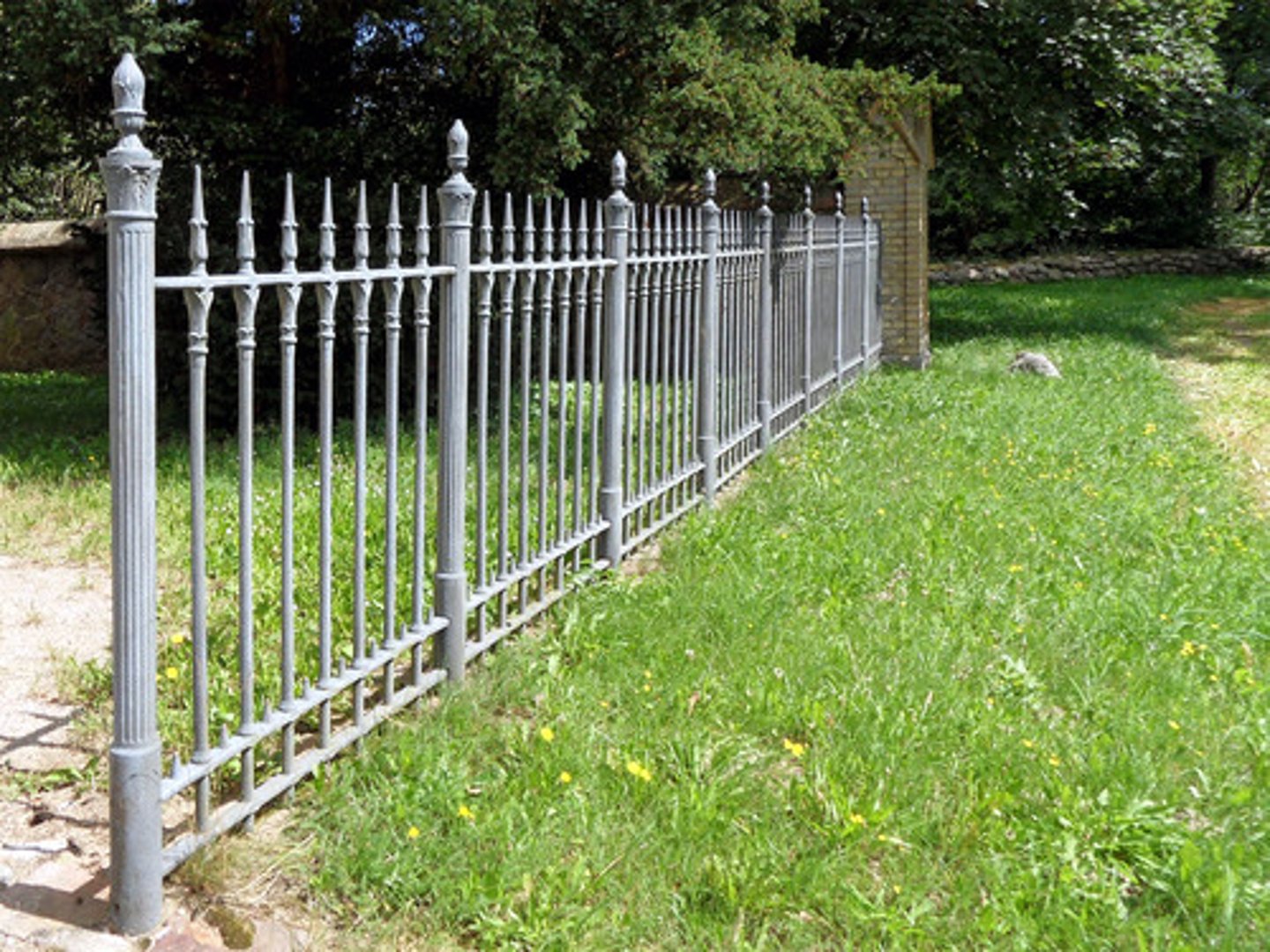 <p>the fence</p>