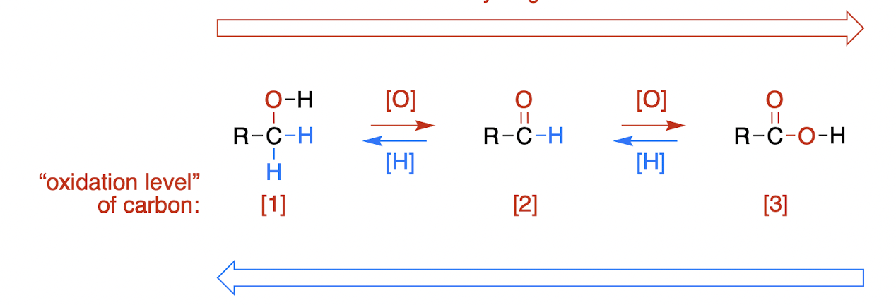 <p>a decrease in the number of bonds to electronegative atoms and/or increase in the number of bonds to hydrogen</p>