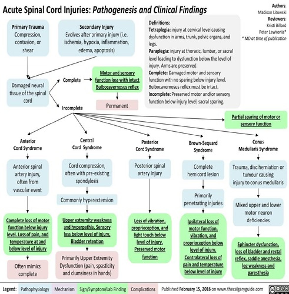 <p>Primary injury is the initial mechanical damage</p><p>Secondary injury worsens damage through inflammatory processes.</p>