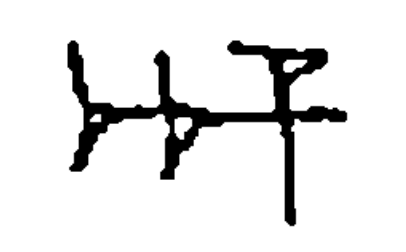 term image