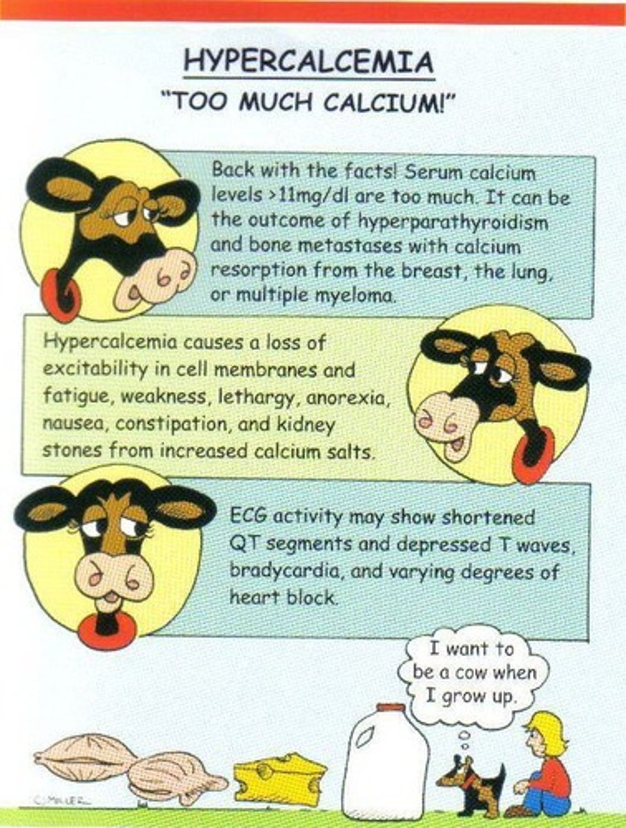 <p>A condition where calcium levels are above 10.5 mg/dL, often due to excessive intake of antacids or bone tumors.</p>