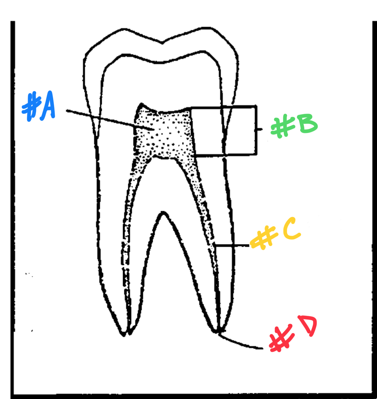 <p>C</p>