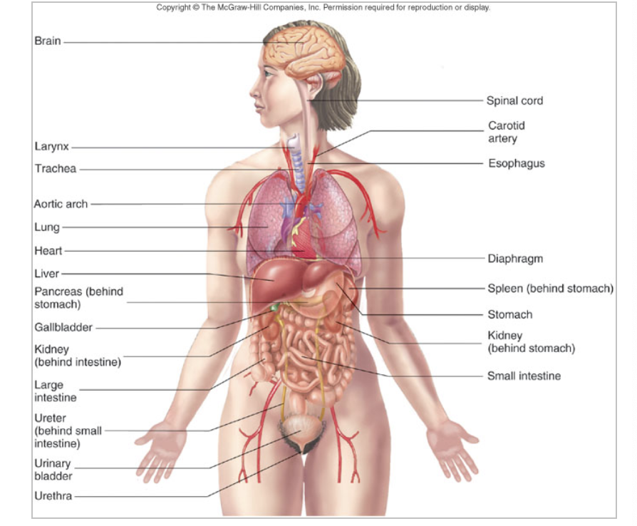 * LOOK AT THE BODY 
* SAY WHAT THEY OR WRITE