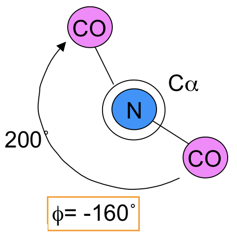 The angle between the nitrogen and central amino acid carbon. 