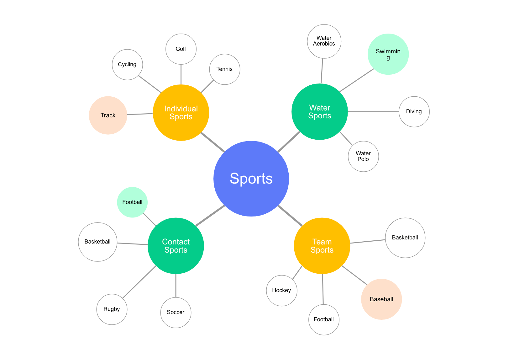 <p>Identify the type of graphic organizer </p>