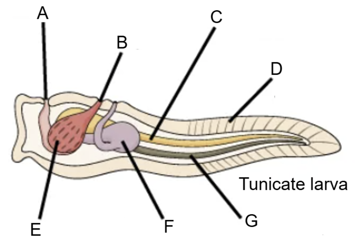 <p>Label the diagram.</p>