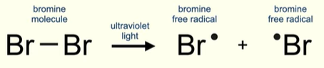 <ul><li><p>At the start of the reaction you will have a mixture of your alkane and halogen.</p></li><li><p>UV light is shone onto the reaction mix</p></li><li><p>Energy of the UV light causes the single covalent bond between the halogen to break.</p></li><li><p>The single covalent bond contains a pair of electrons. When the bond breaks each halogen atom gains 1 electron forming free radicals.</p></li></ul><p></p>