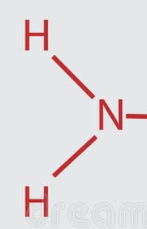 <ul><li><p>AKA Amine group</p></li><li><p>Chemical formula: NH<sub>2</sub></p></li><li><p>Found in bases and <strong>amino </strong>acids</p></li></ul><p></p>