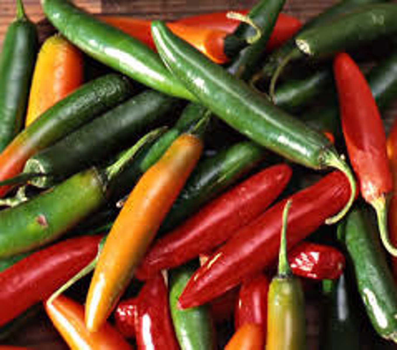 <p>a small chili of a very hot variety that is used fresh or dried in Mexican cooking.</p>