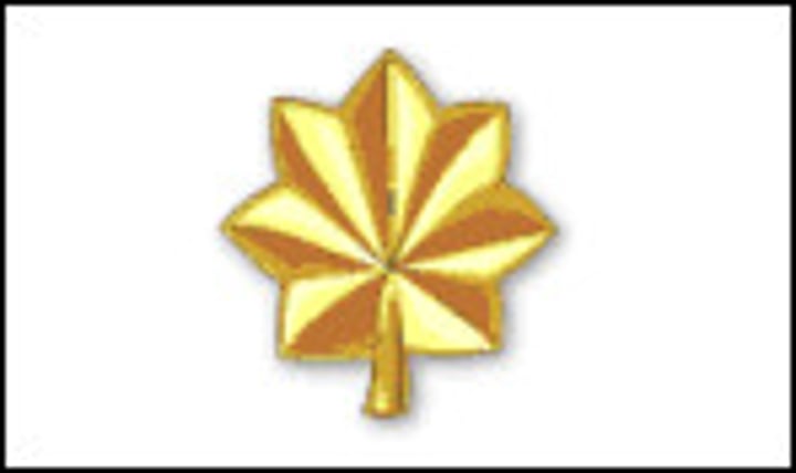 <p>Gold Oak Leaf</p>