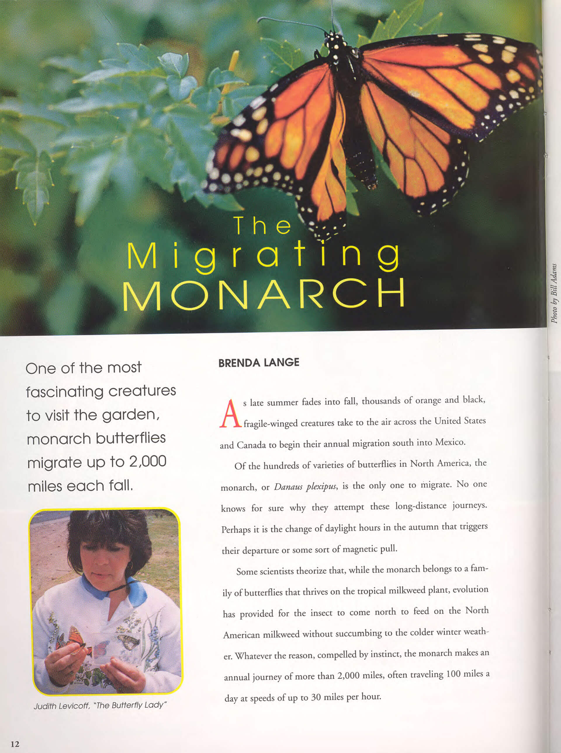 <p>An exploratory piece that may use first or third person and adapts tone depending on the audience.</p>