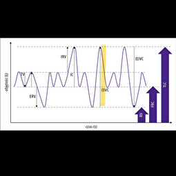 <p>Co to za pojemność płuc ssaka?</p>