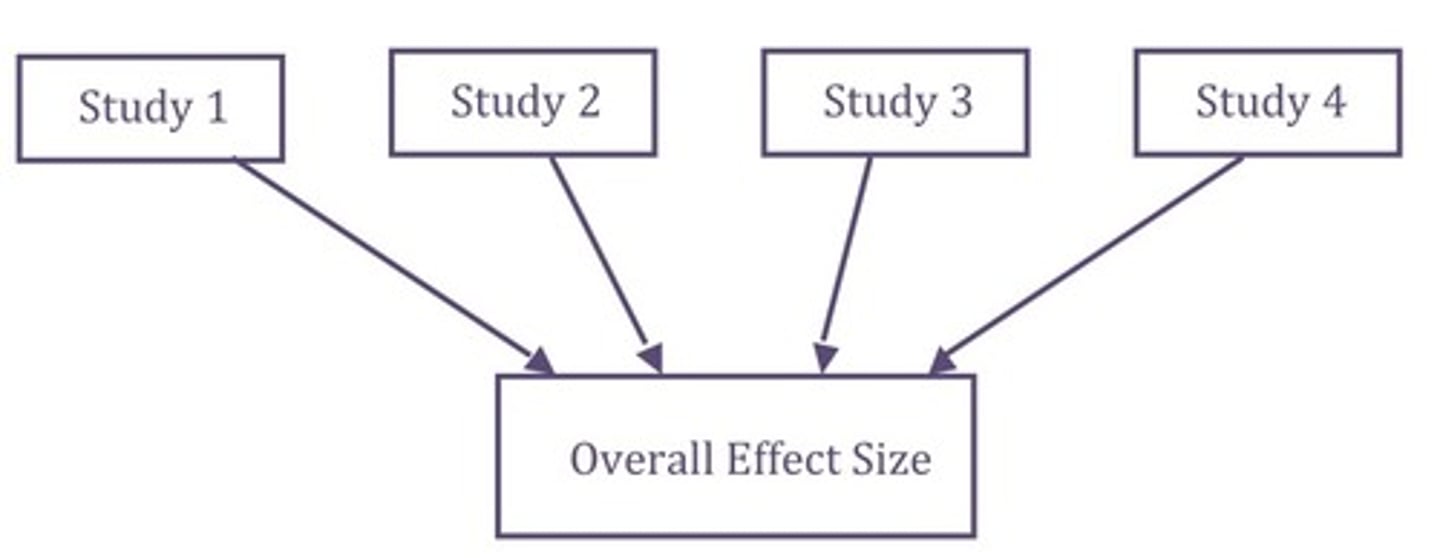 <p>a statistical method that combines the results of multiple studies to reveal patterns and draw general conclusions</p>