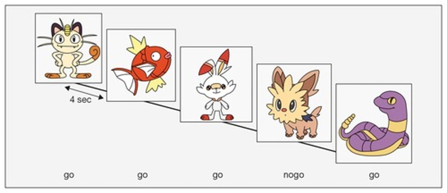 <p>These tasks reveal that children often have to exert more cognitive effort than adults to ignore non-target stimuli.</p>