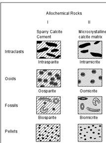 <p>contain grains brought in from elsewhere… mainly limestone… formed largely by shells or pieces of shells</p>