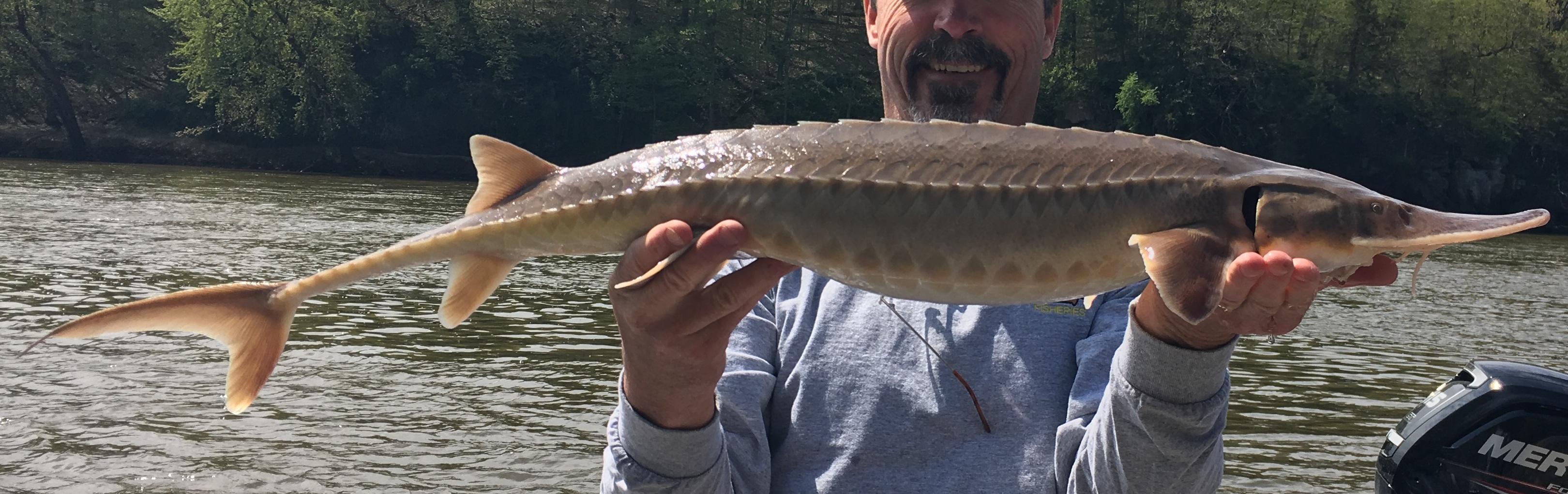 <p>Common name? Family? </p>