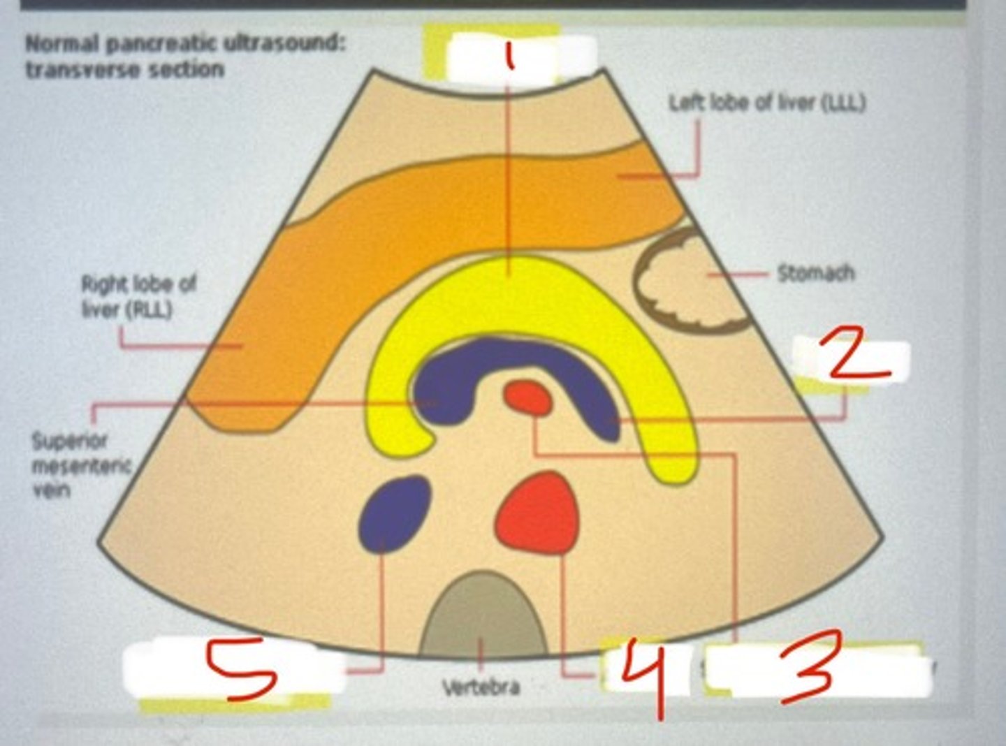 <p>1</p>