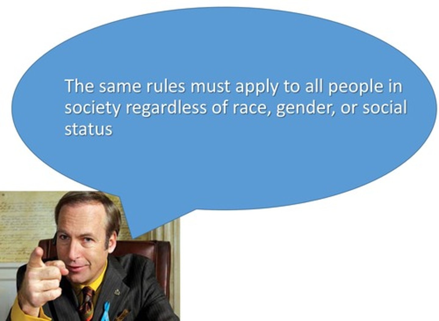 <p>Everyone has to obey the law or face the same consequences, no matter how powerful or rich. Laws keep society orderly and establish expectations of behavior for individuals, groups, and organizations</p>