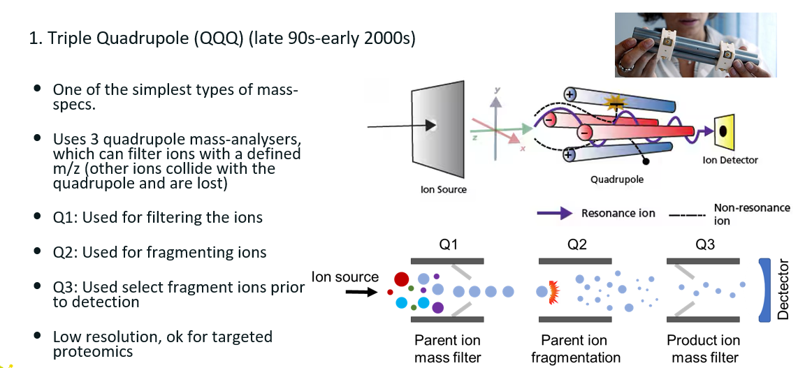<p>Consists of 3 quadrupoles arranged back to back. Each quadrupoles consists of four poles, 2 positively charged and 2 negatively charged.</p><p><strong><u>How does it work?</u></strong></p><ul><li><p class=""><strong>Q1</strong>: First quadrupole: acts as a <strong>mass filter</strong> to select a specific <strong>precursor ion</strong> (e.g. a peptide of m/z 567.4).</p></li><li><p class=""><strong>Q2</strong>: Second quadrupole: a <strong>collision cell</strong> where <strong>fragmentation</strong> occurs (usually via <strong>CID</strong>).</p></li><li><p class=""><strong>Q3</strong>: Third quadrupole: analyses the <strong>fragment ions</strong> produced in Q2.</p></li></ul><p class="">This is then repeated for each peptide ion of interest.</p><p>Not state of the art technology.</p>