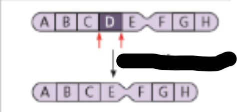 <p>loss of chromosome fragment</p><ul><li><p>ex: Prader-Willi and Angelman Syndromes</p></li></ul><p></p>