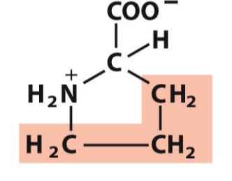 <p>Pro, P</p><p>Hydrophobic/Non-polar</p>