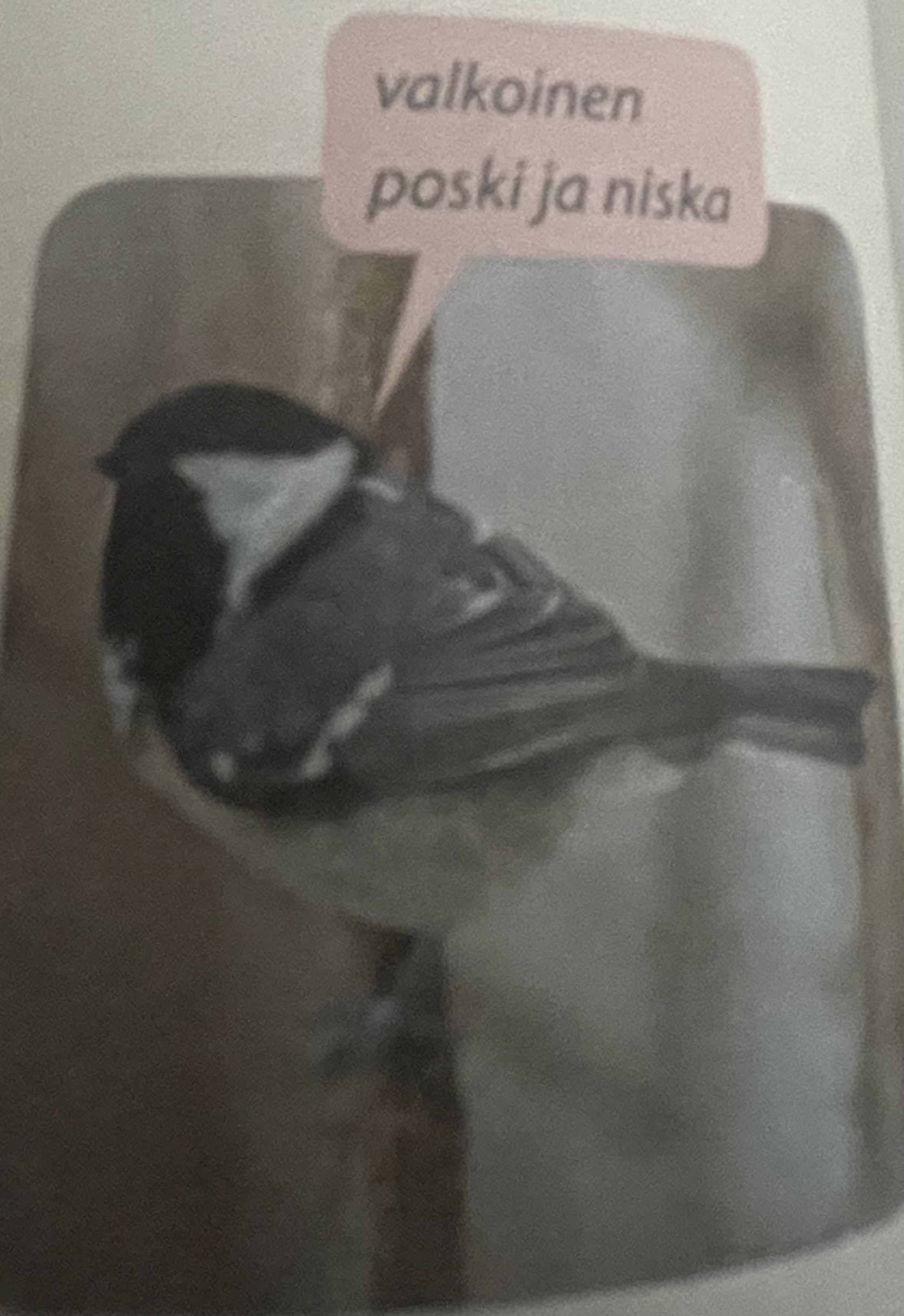 <p>mikä eläin</p>