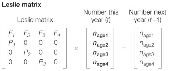<p>*(how it fits together with the markov chain, must be able to plug into either), THEN plug in for lambda</p>